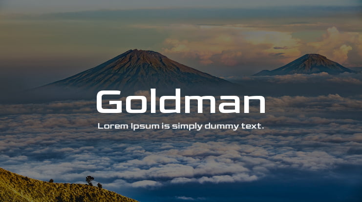zt-Goldman-02