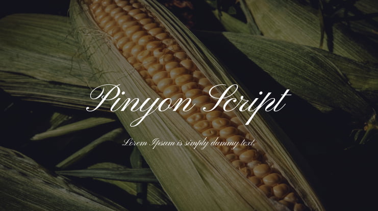zt-Pinyon-Script-Font-02