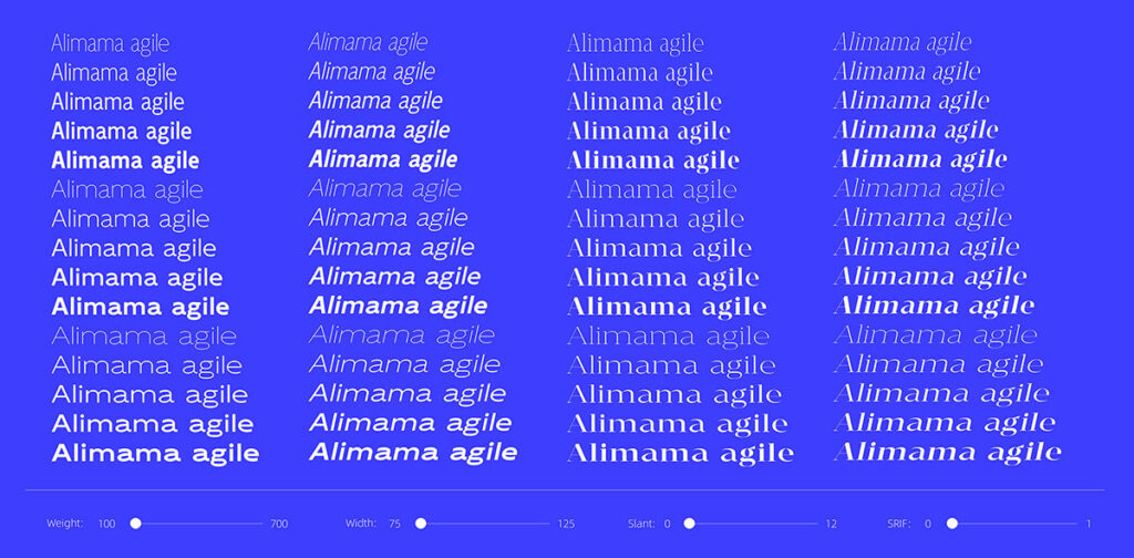 zt-almmldt-04