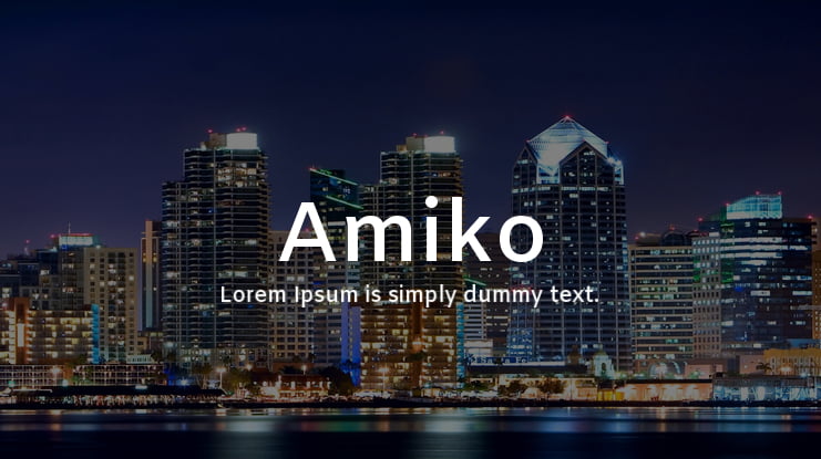 zt-amiko-02