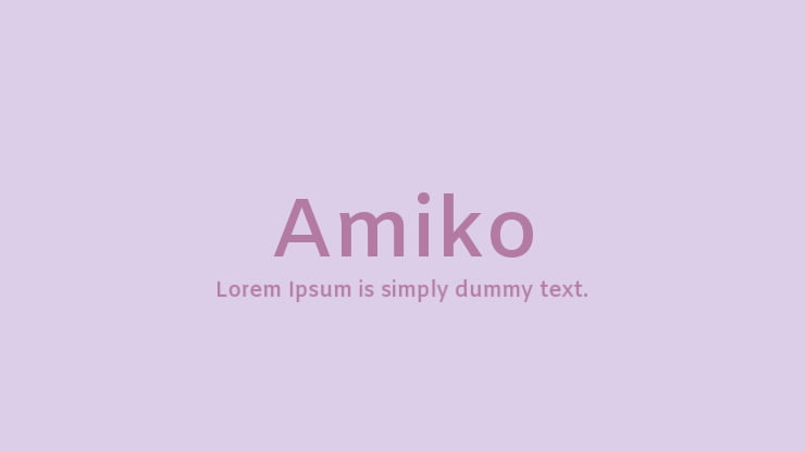 zt-amiko-03