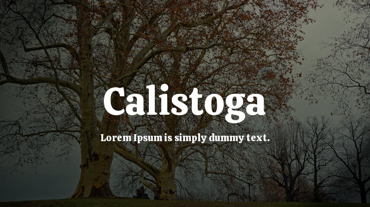 zt-calistoga-02
