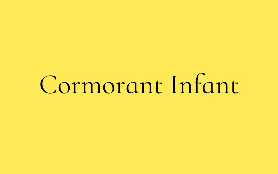 【Cormorant Infant】它是Christian Thalmann开发的字体 免费商用字体！-优享侠