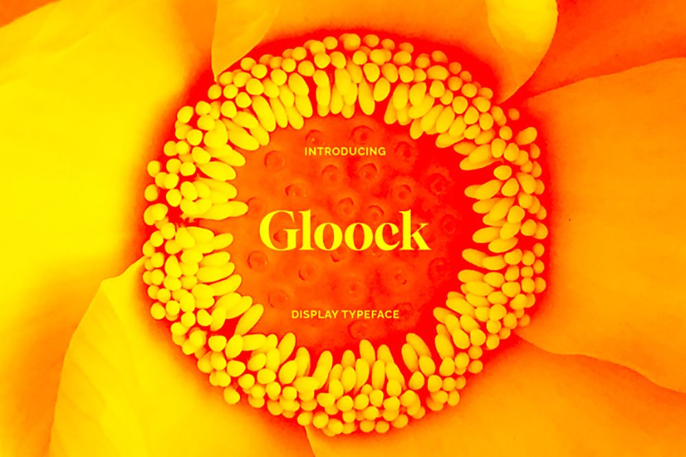 zt-gloock-02