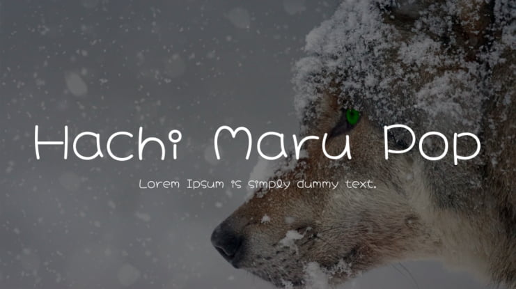 zt-hachi-maru-01