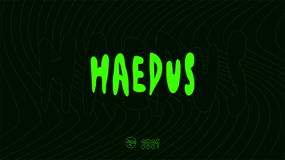 zt-haedus-02
