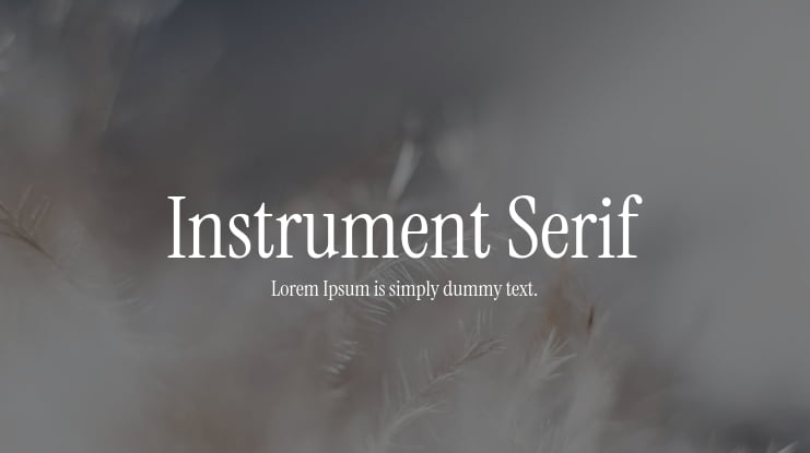 zt-instrument_serif-02
