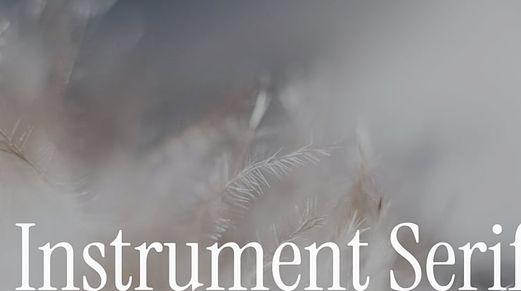 zt-instrument_serif-05
