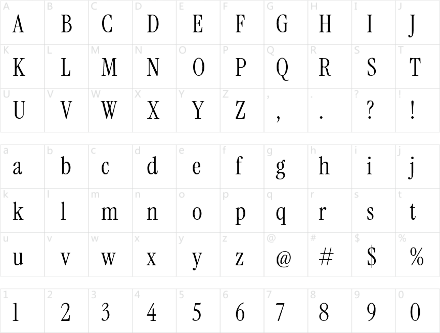 zt-instrument_serif-06