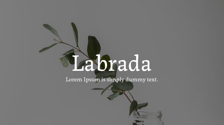 zt-labrada-02