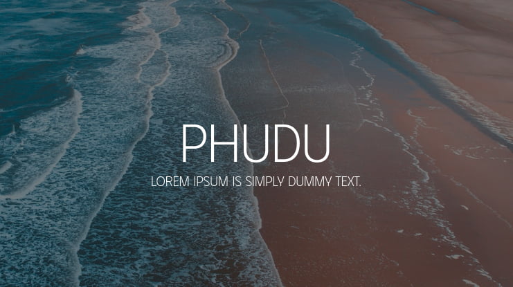 zt-phudu-02