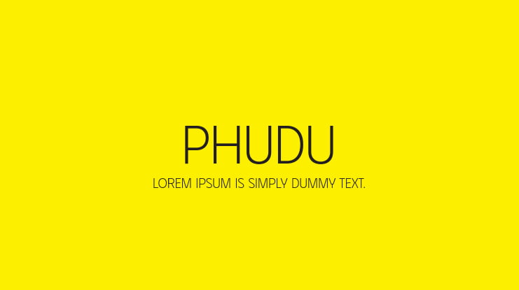 zt-phudu-03