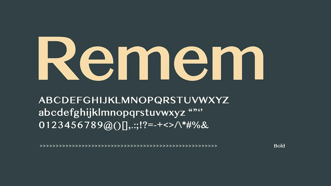 zt-remem-21