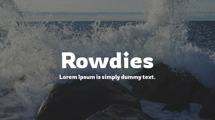 zt-rowdies-02