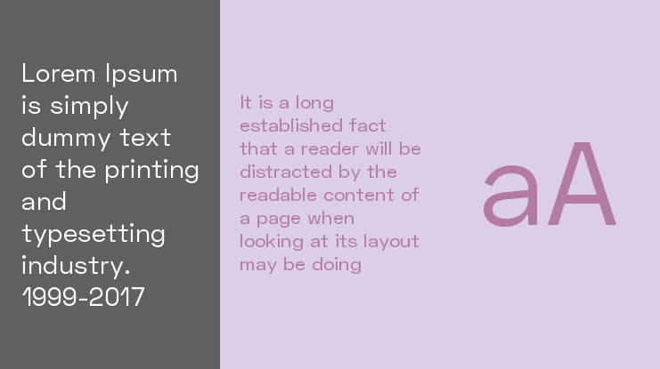zt-space-grotesk-03