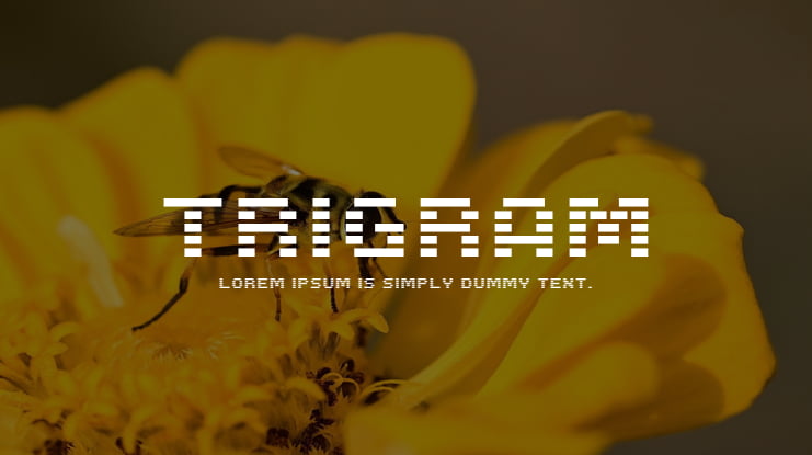 zt-trigram-01