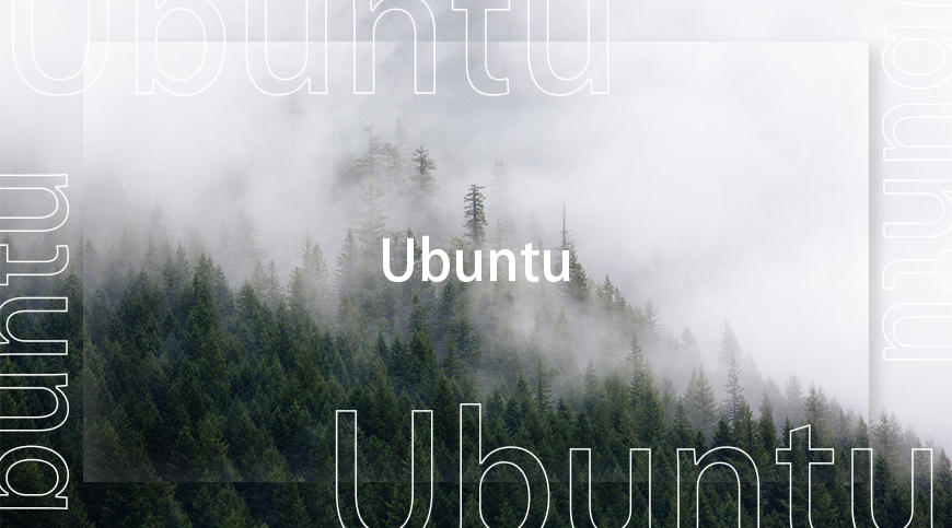 zt-ubuntu-06