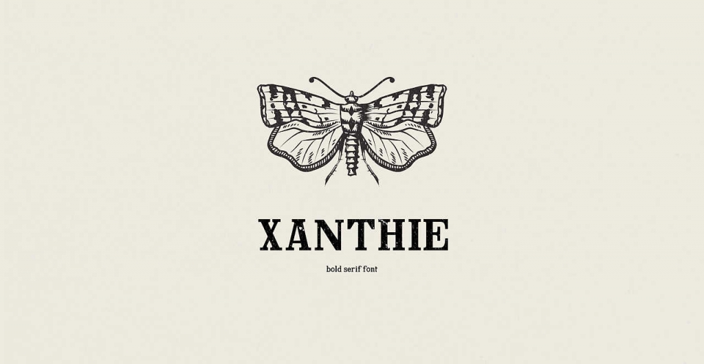 zt-xanthie-02
