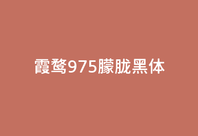 zt-xw975mlht-01