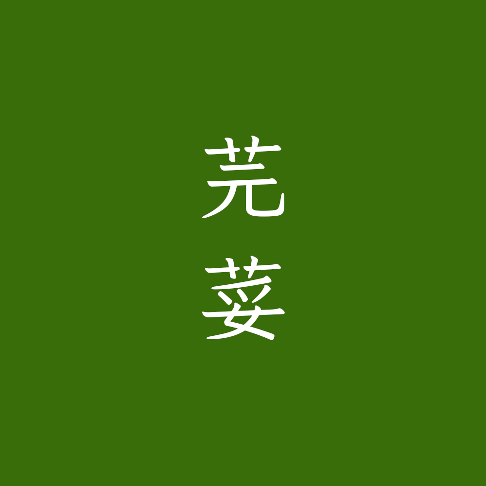 zt-ys-06