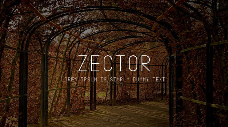 zt-zector-01