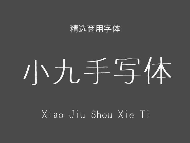 zt-xjsxt-02