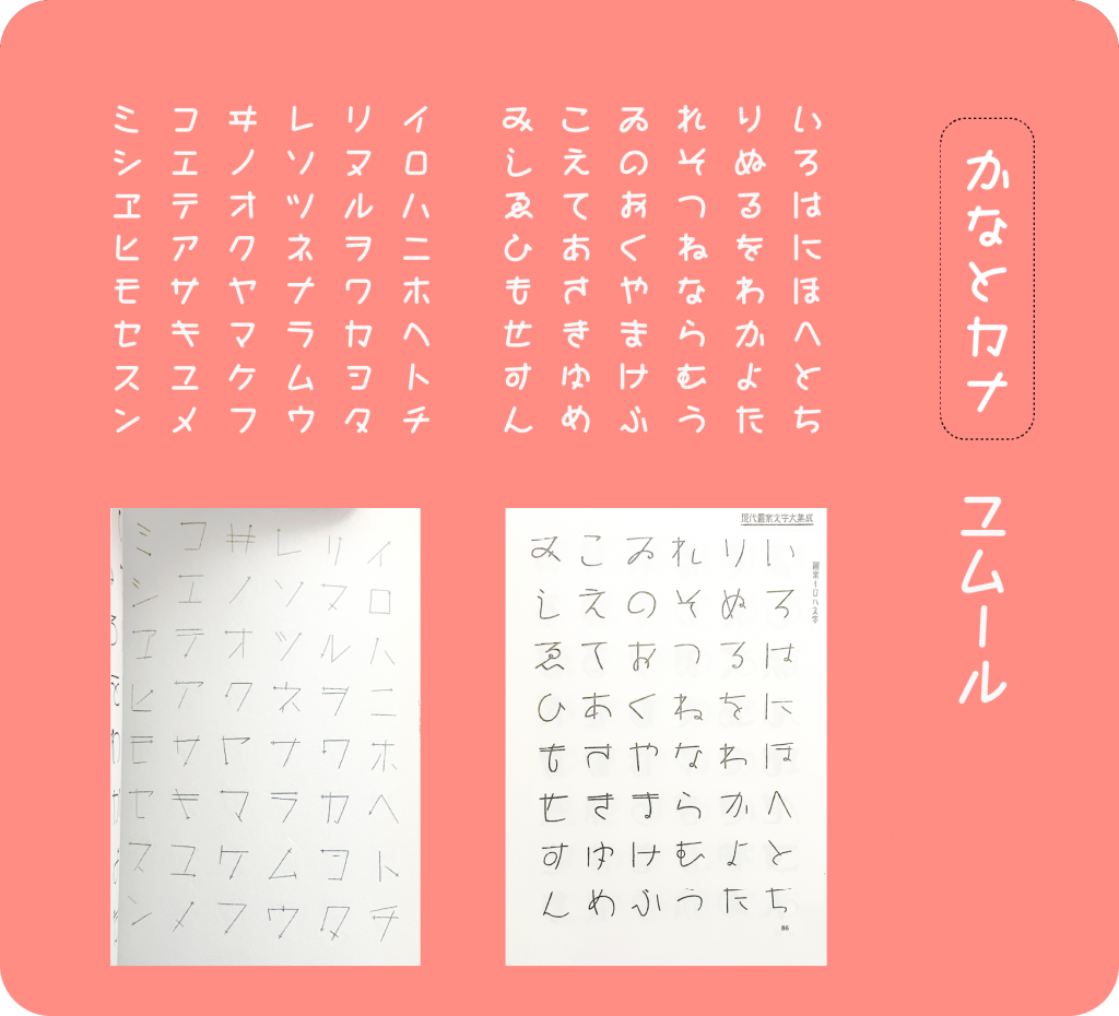 zt-xy-06