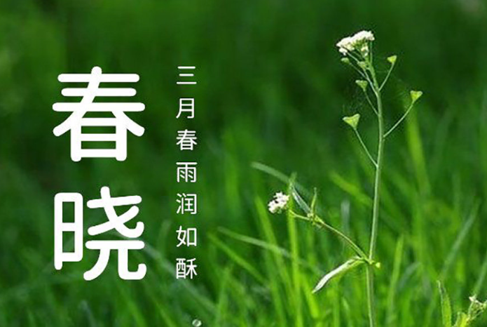 图25