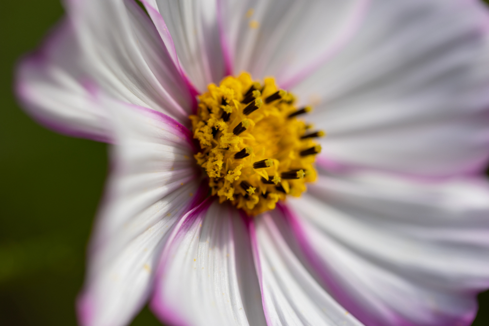 SCtk1025-00