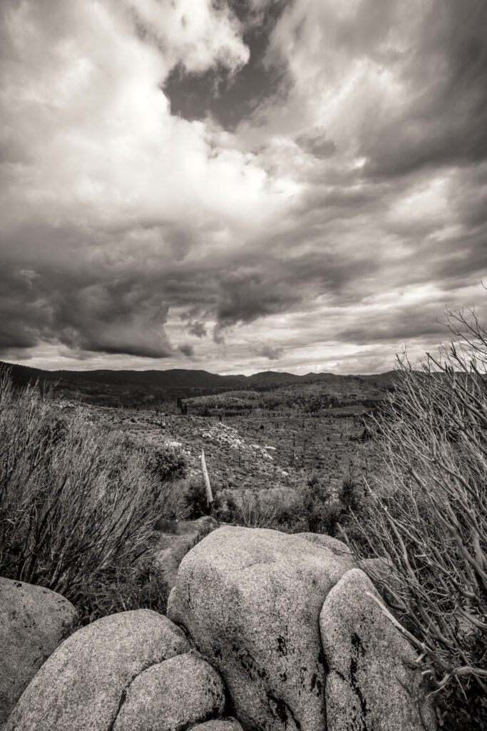 SCtk1230-01
