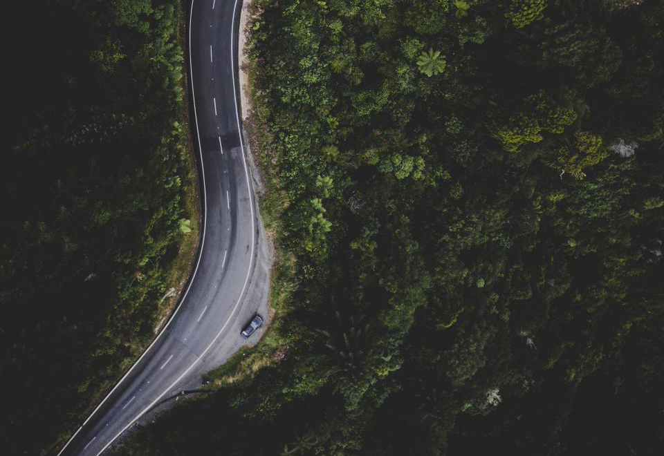 蜿蜒道路穿过森林的鸟瞰图 无版权可商用图片素材 免费下载！-优享侠