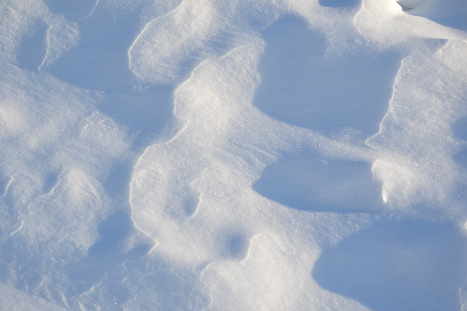 冬日仙境——雪地的神秘图案 无版权可商用图片素材 免费下载！-优享侠