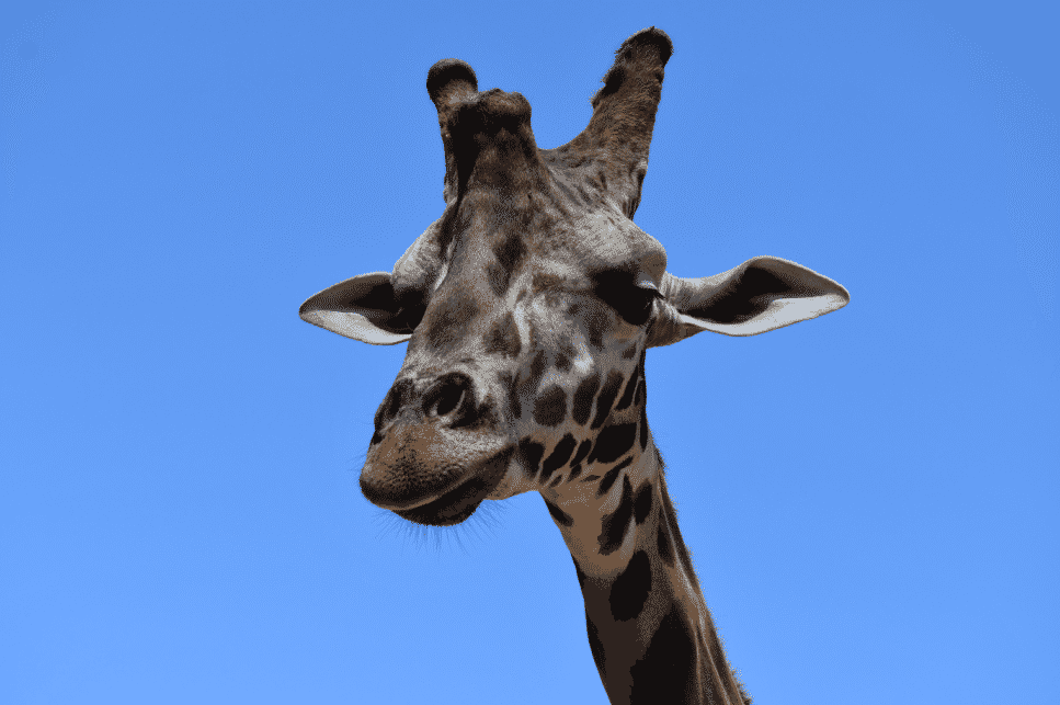 Snipaste_2026-03-19_17-20-28