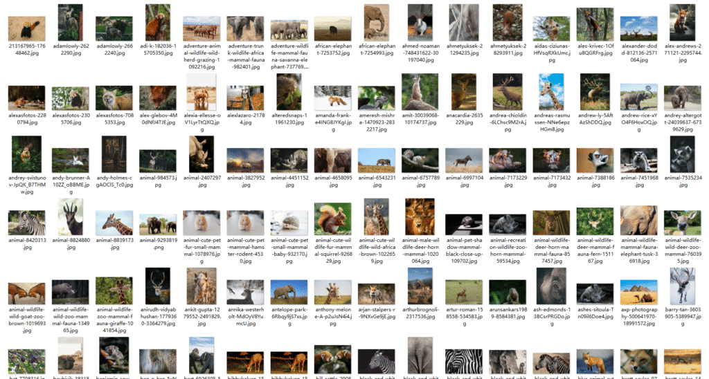 Snipaste_2026-03-19_17-22-49