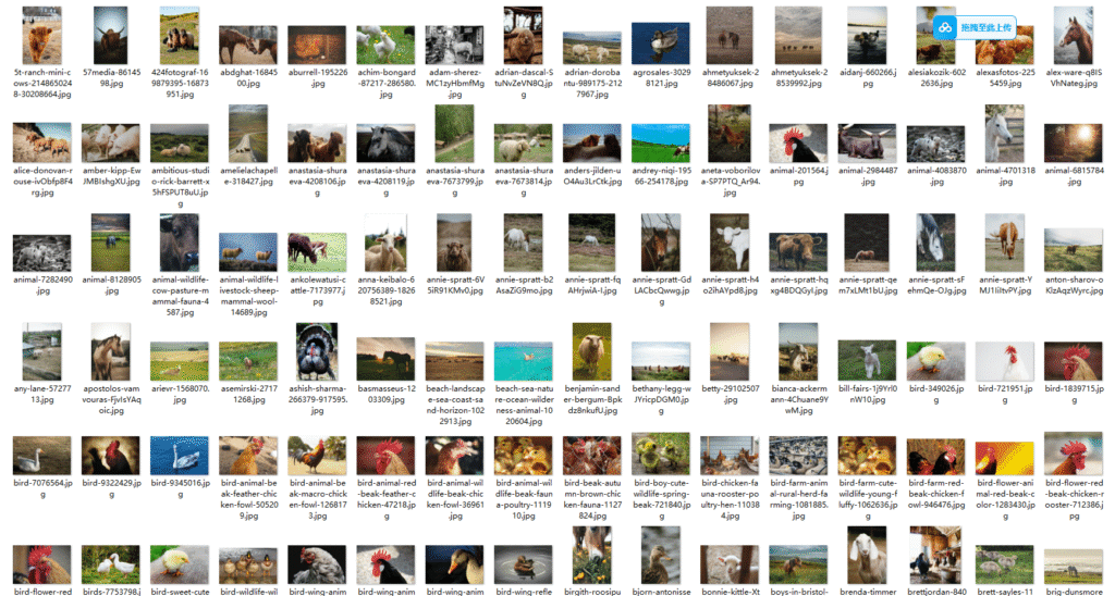 Snipaste_2026-03-19_17-44-07