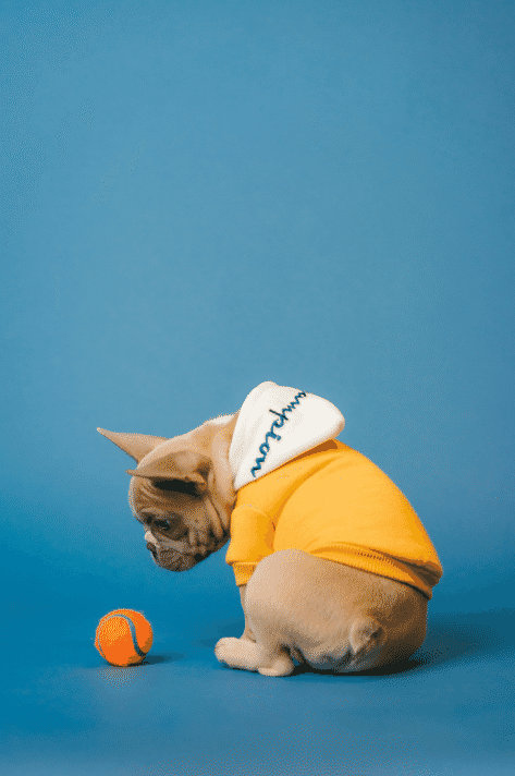 Snipaste_2026-03-19_18-00-18