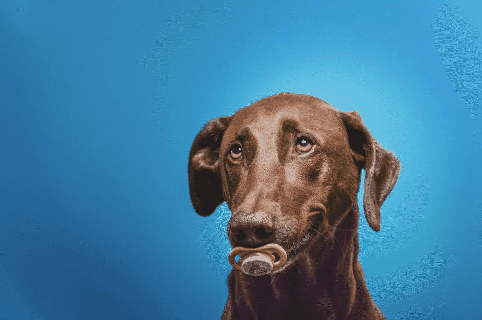 Snipaste_2026-03-19_18-01-27