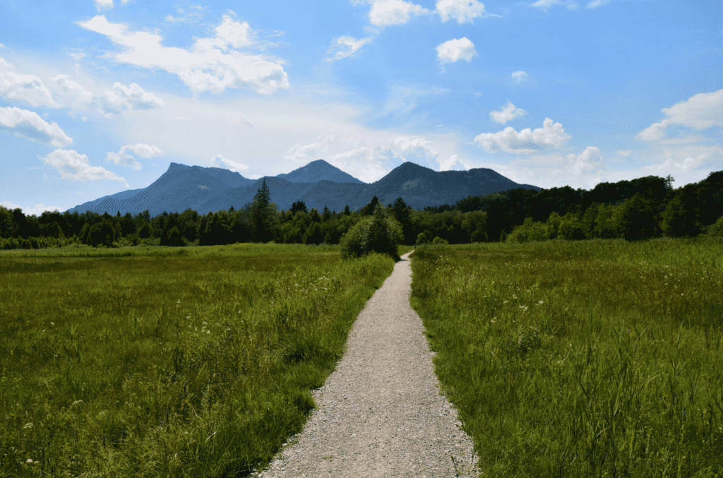 Snipaste_2026-03-25_16-30-42