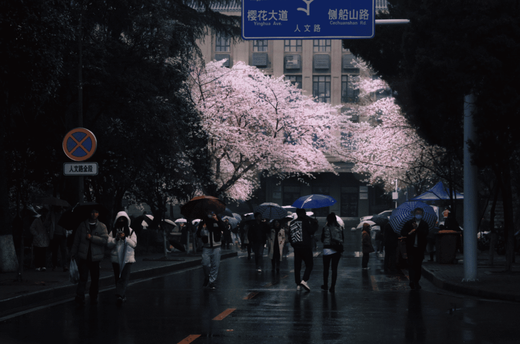 Snipaste_2026-03-25_22-54-12