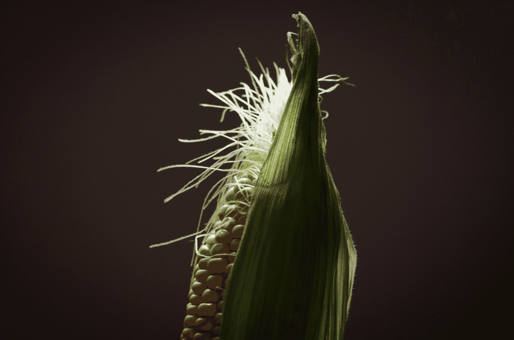 Snipaste_2026-03-28_22-04-06
