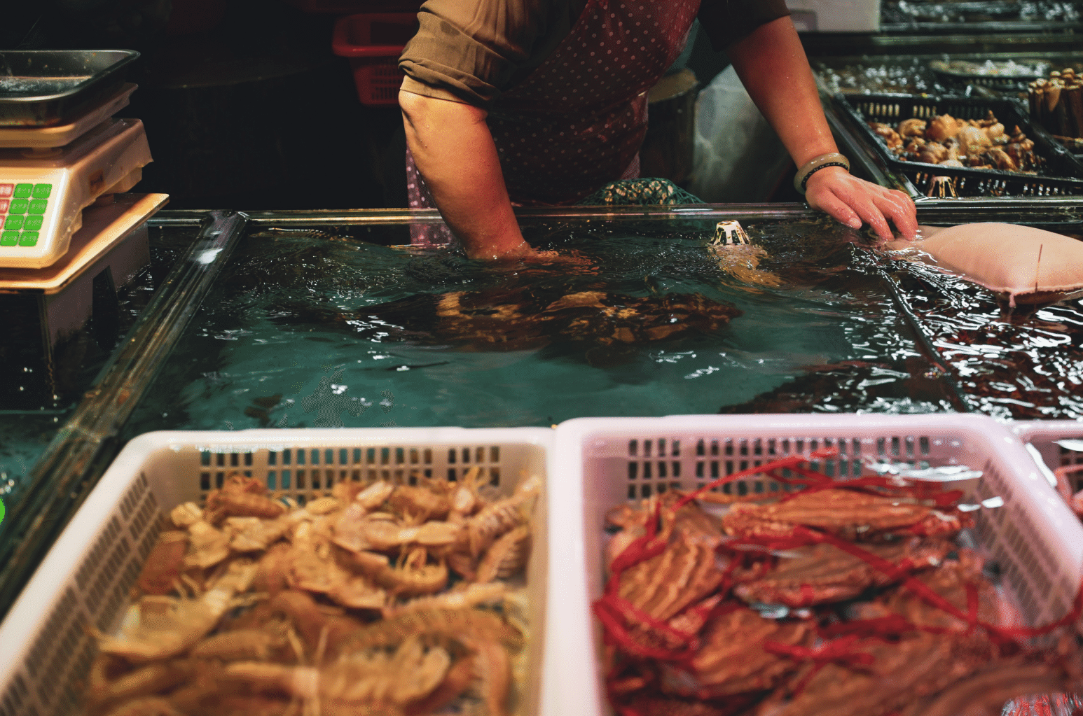 免费商用摄影图片合集原图打包下载-主题系列之食物饮品（5-4）烹饪食材《鱼虾、海鲜》-优享侠