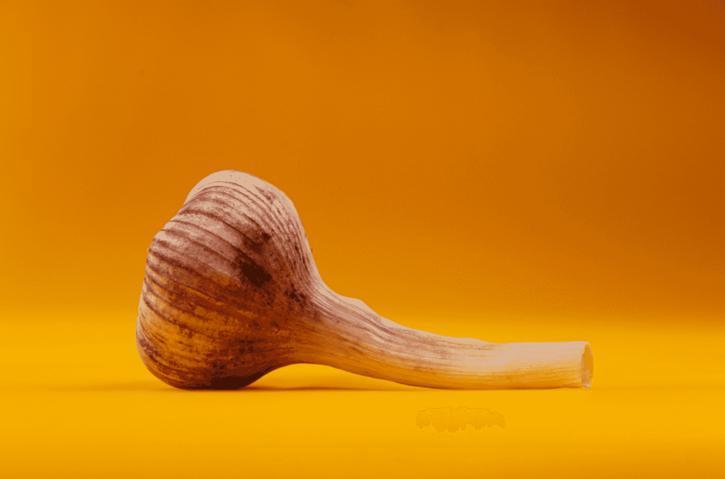 Snipaste_2026-03-29_13-42-43