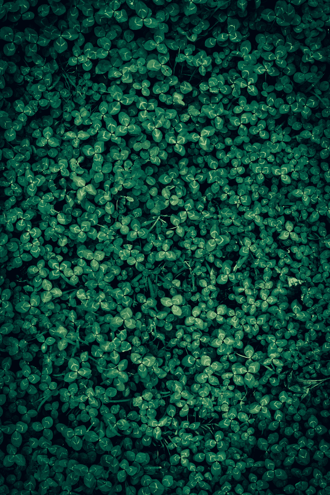 Snipaste_2026-03-30_22-43-41