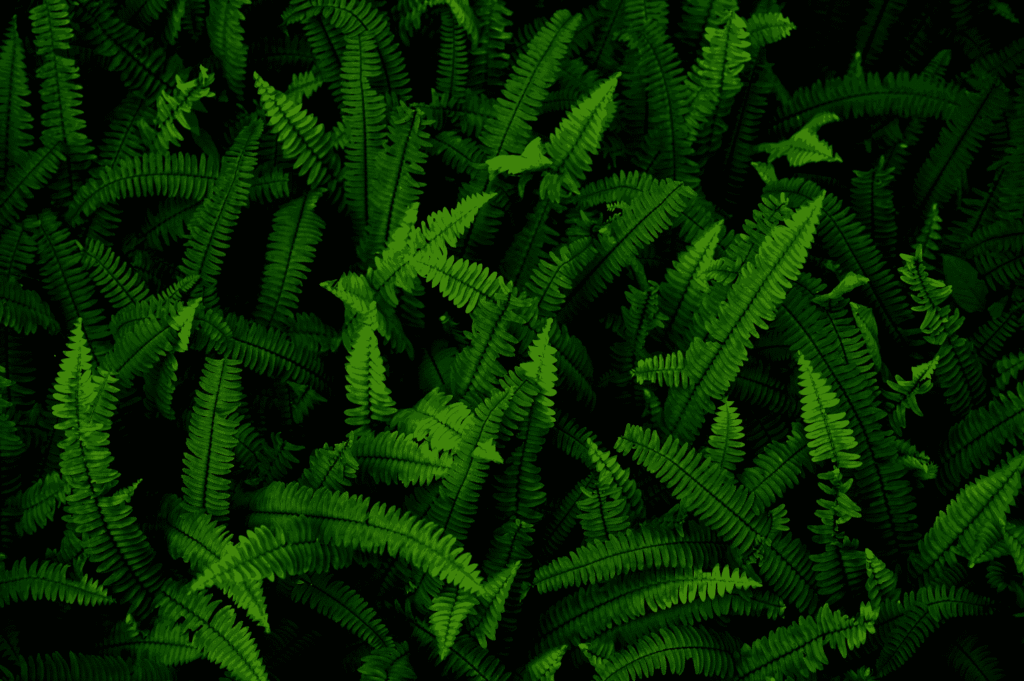 Snipaste_2026-03-30_22-49-34