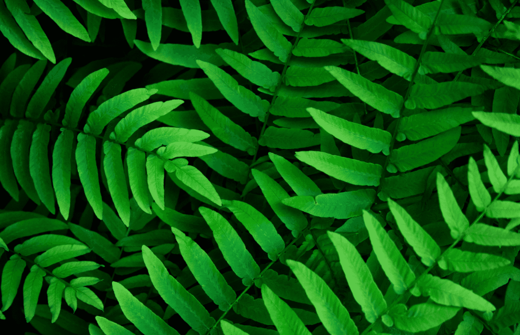 Snipaste_2026-03-30_22-54-24