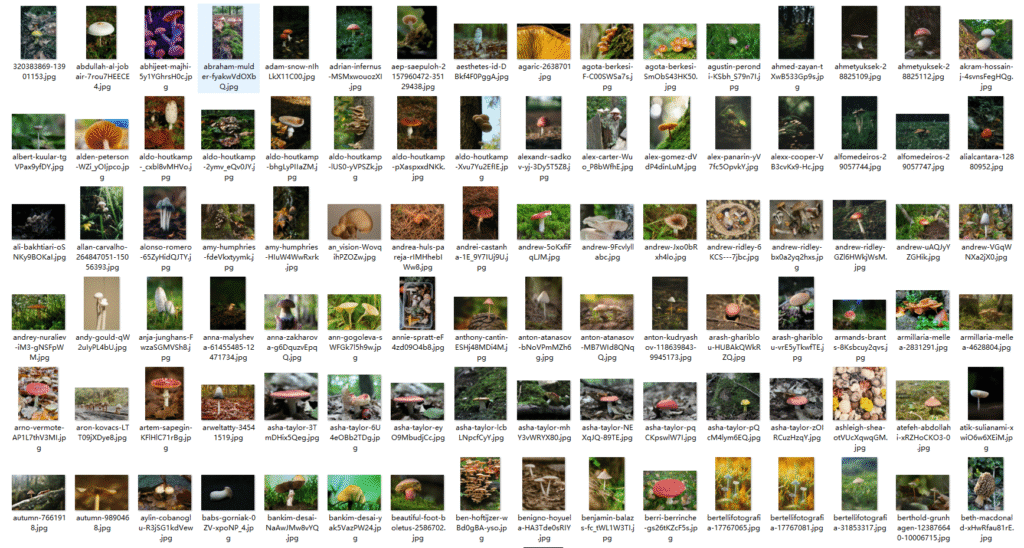Snipaste_2026-03-30_23-19-32
