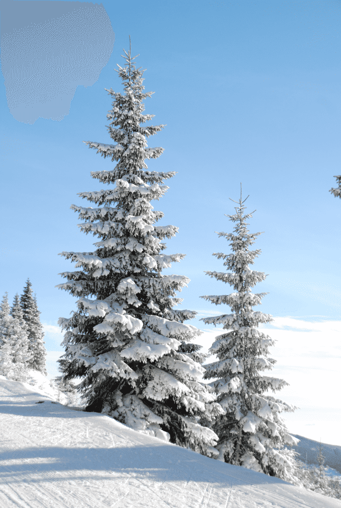 Snipaste_2026-03-30_23-42-41