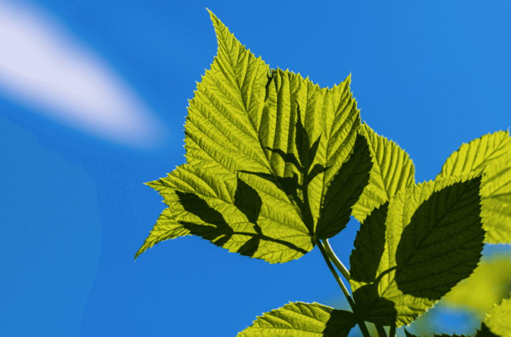 Snipaste_2026-03-30_23-56-35
