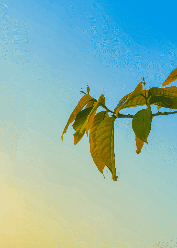 Snipaste_2026-03-30_23-56-44