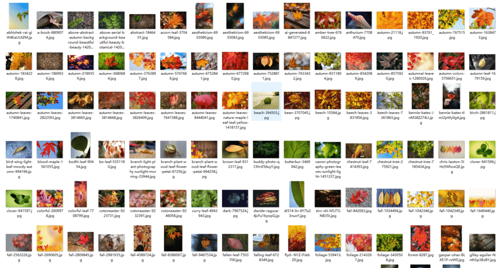 Snipaste_2026-03-30_23-56-56